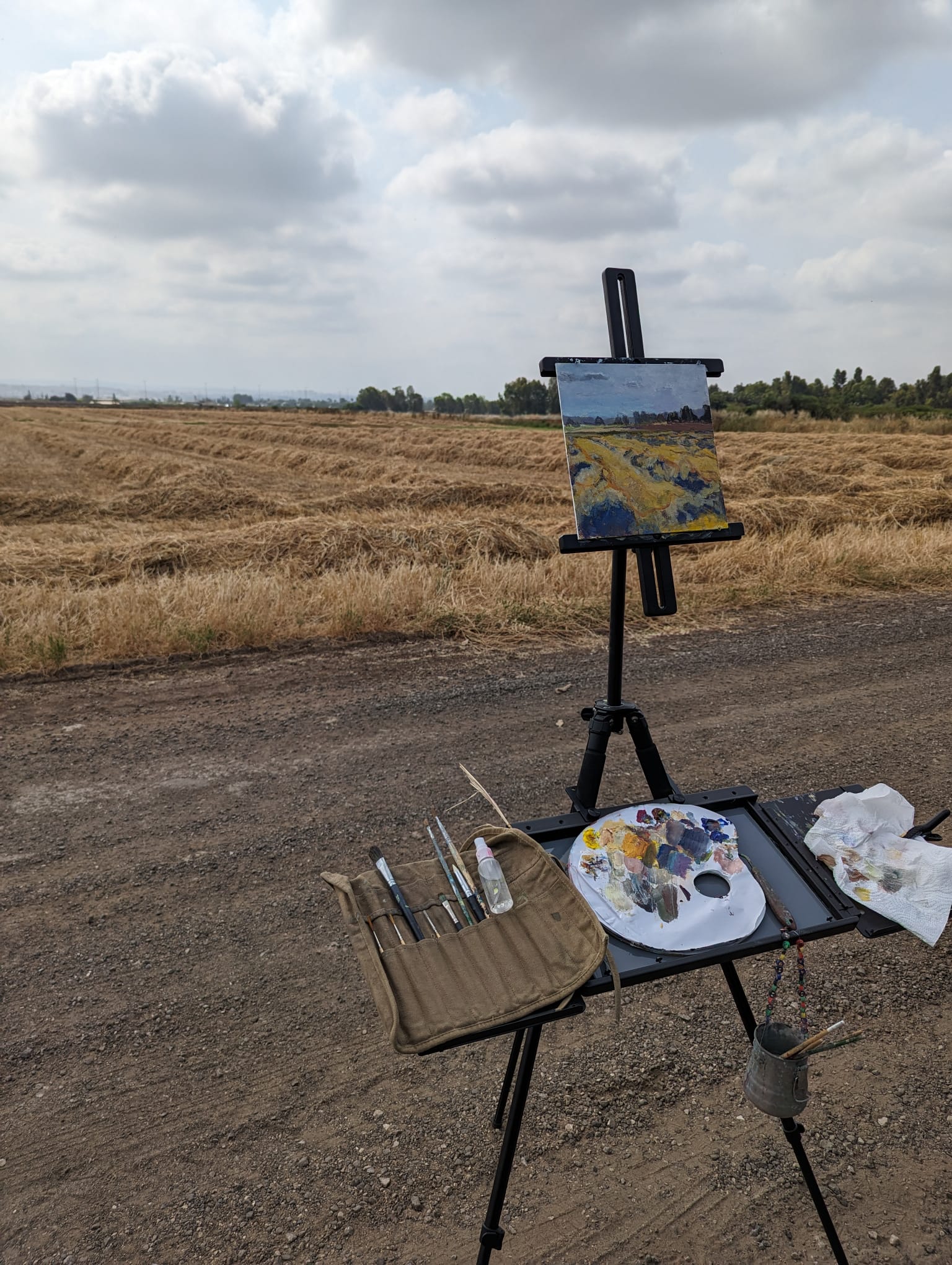 plein air yellow field